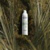 Anti-Age Day Cream - Image 6